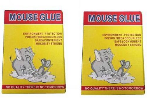 HIT Rat/Mouse Glue Pad – No Smell, Non Poisonous, Easy to Use (Pack of 5 Regular Size)
